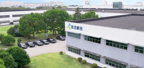 以苹果为生的技术服务公司